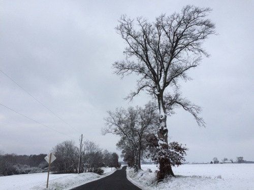 Side road off of Route 4 near Edwardsville, IL  Photo Credit: Helene Swanson